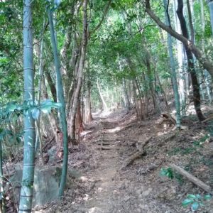 登山道